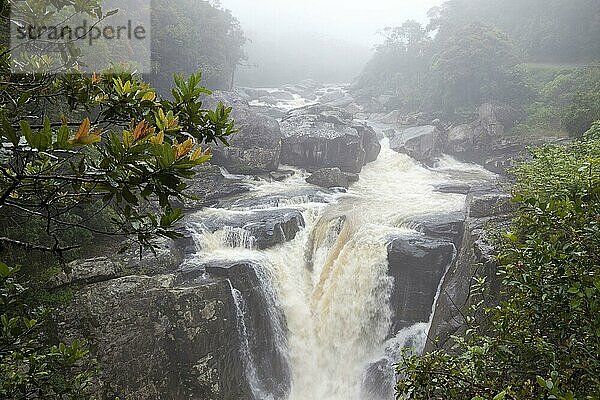 Ansicht eines Wasserfalls im Regenwald  Ranomafana N. P. Madagaskar