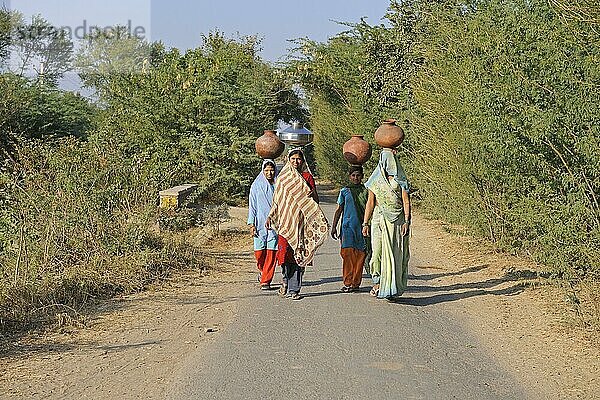 Indische Mädchen tragen Wasserbehälter auf dem Kopf  in der Nähe von Bharatpur  Rajasthan  Indien  Dezember  Asien