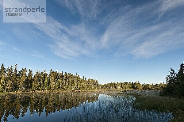 Morgenstimmung am Fluss Oesterdalaelven  Dalarna  Schweden  Europa