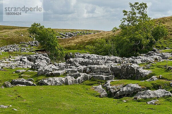 Kalksteinaufschlüsse mit typischen Erosionsmustern aus Grykes und Klumpen an den Flanken des Hügels  Ingleborough  Yorkshire Dales N.P.  North Yorkshire  England  August