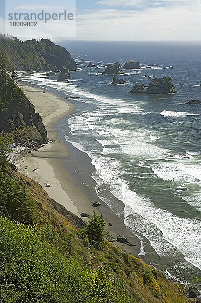 Blick auf die Küstenlinie mit vorgelagerten Schornsteinen  zwischen Brookings und Gold Beach  Oregon (U.) S. A