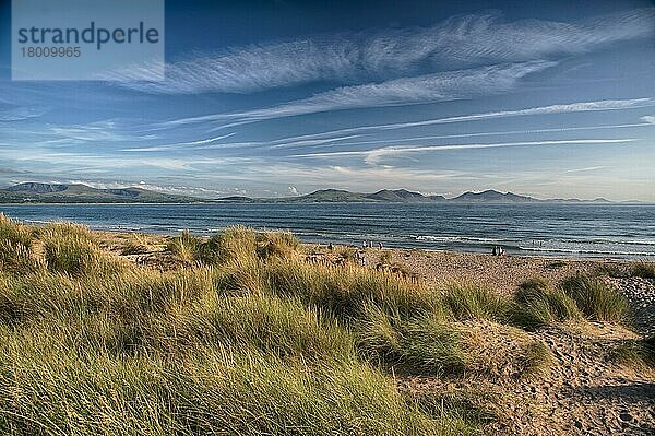 Blick auf Sanddünen und Küstenlinie  Newborough Warren National Nature Reserve  Newborough  Anglesey  Wales  August