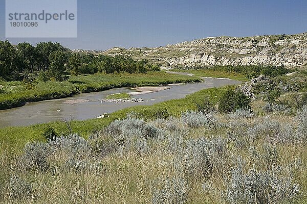 Blick auf den Fluss  der durch das Ranchland fließt  Little Missouri River  Badlands  North Dakota (U.) S. A. August