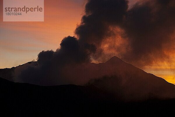 Rauch  der bei Sonnenuntergang vom Vulkan aufsteigt  Mount Bromo  Bromo Tengger Semeru N. P. Ost-Java  Indonesien  Asien