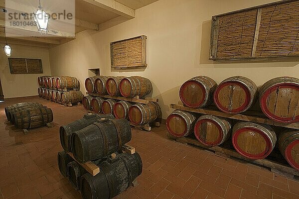 Fässer mit Vino Santo  Castello d'Albola  Radda in Chianti  Toskana  Italien  Europa