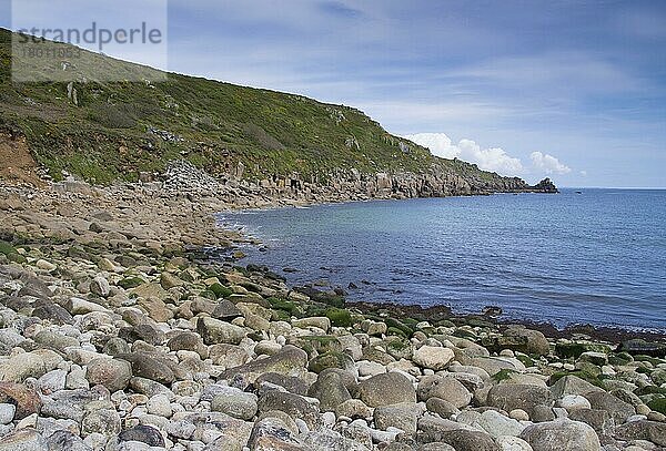 Blick auf Kieselstrand und Küstenlinie  Lamorna Cove  Cornwall  England  Mai