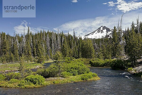 Blick auf den in den See mündenden Fluss  Green Lake Trail  Fall Creek  Sparks Lake  Cascade Mountains  Oregon (U.) S. A. Juli