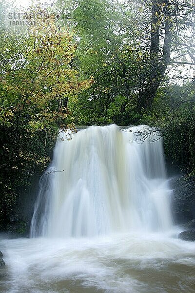 Wasserfall nach starken Regenfällen  Janet's Foss  Gordale Beck  Malhamdale  Yorkshire Dales N. P. North Yorkshire  England  Oktober
