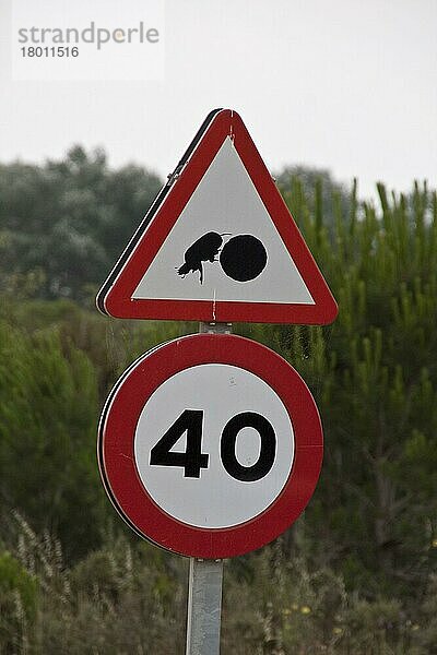 Straßenschilder  Verkehrszeichen  Straßenverkehrszeichen  Schilder  Road sign of dung beetle with dung ball  Coto Donana national park Andalusia Spain