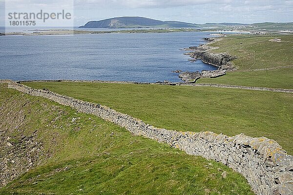 Blick auf Trockenmauern und Küstenlinie  Blick nach Westen zu Scatness  Sumburgh Head  Festland  Shetlandinseln  Schottland  Juni