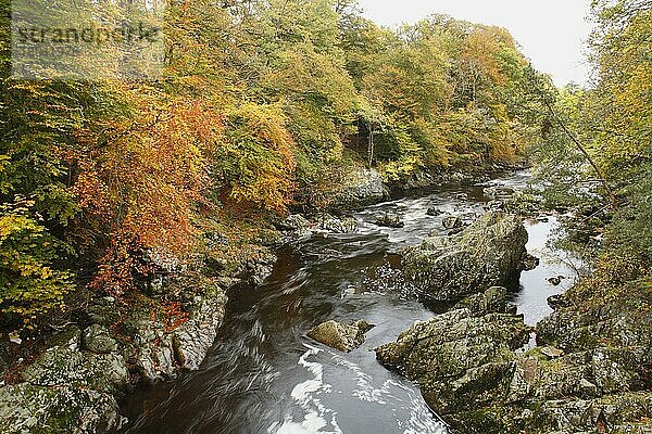 Blick auf Stromschnellen zwischen Felsen im Fluss  Falls of Feugh  River Feugh  bei Banchory  Aberdeenshire  Schottland  Oktober