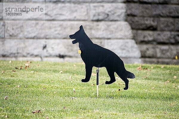 Wirbelnder Hund Vogelscheuche  mit der Vögel von einem Grasrasen verscheucht werden