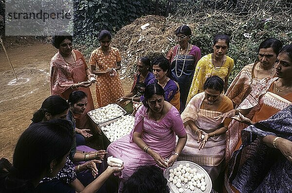 Kodava-Frauen bei der Herstellung des Reisballs Kadamputtu während des Huthri-Festes  Kodagu  Karnataka  Indien  Asien