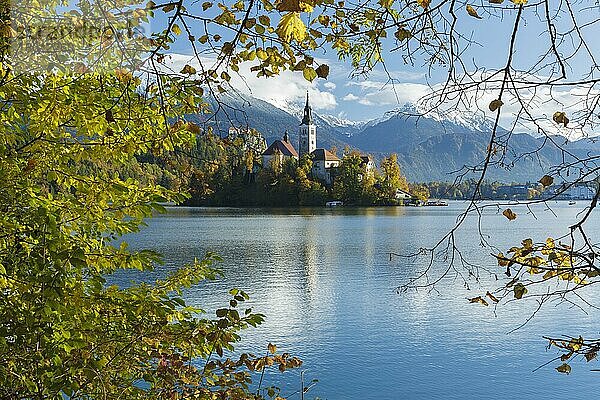 Marienkirche Mariä Himmelfahrt  auf der Insel im Bleder See  mit Herbstlaub und weit entfernten schneebedeckten Gipfeln der Julischen Alpen  Slowenien  Oktober  Europa