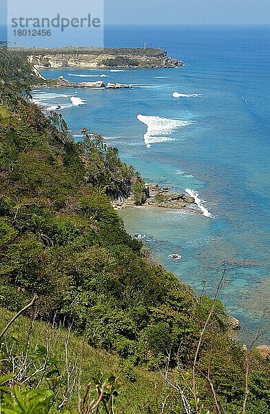 Nordküste  Insel Hispaniola  Sosua  Dominikanische Republik  Amerika  Karibik  Mittelamerika
