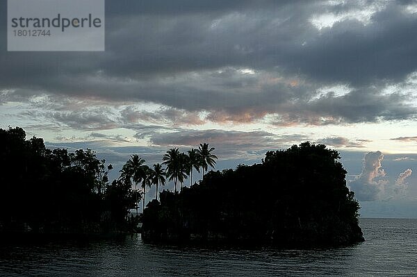 Insel mit Kokosnusspalmen  die sich bei Sonnenuntergang gegen die Wolken abheben  Raja-Ampat-Inseln (Vier Könige)  West-Papua  Neuguinea  Indonesien  Dezember  Asien