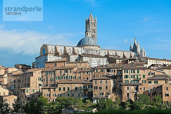 Historische Altstadt  Siena  Toskana  Italien  Europa