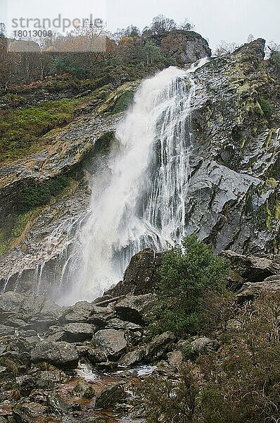 Blick auf den über Felsen fließenden Schachtelhalm-Wasserfall  höchster Wasserfall Irlands  Powerscourt-Wasserfall  River Dargle  Powerscourt Estate  Enniskerry  Grafschaft Wicklow  Irland  November  Europa