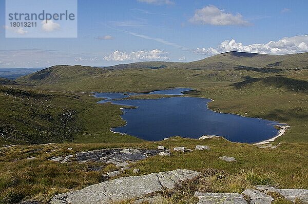 Blick von Craignaw  Galloway Hills  Dumfries und Galloway  Schottland  August  auf den See von Benyellary und Loch Neldricken