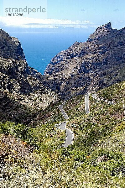 Serpentinenstraße im Masca-Tal  Kurven  Passstrasse  Masca Schlucht  Teneriffa  Spanien  Kanarische Inseln  Europa