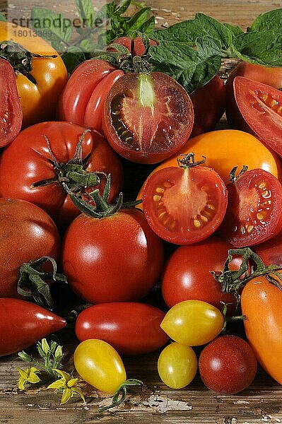 Diverse Sorten Tomaten (Solanum lycopersicum)