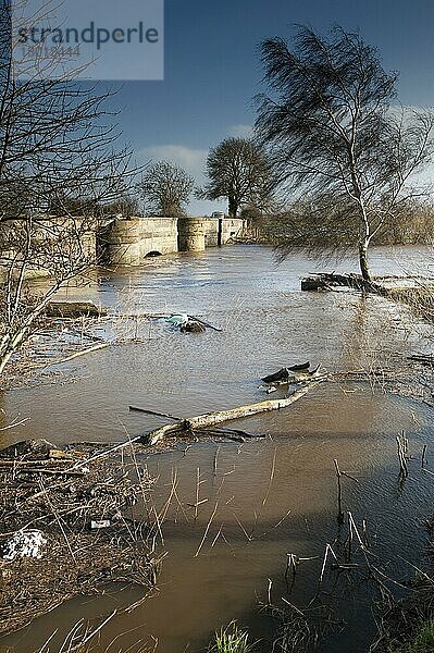 Flussüberschwemmung mit hohen Wasserständen unter Brücke  Fluss Nidd  Nidderdale  Yorkshire Dales  North Yorkshire  England  Januar