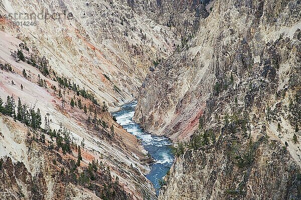 Blick auf den Fluss  der durch den Canyon fließt  Yellowstone River  Grand Canyon of Yellowstone  Yellowstone N. P. Wyoming (U.) S. A. September