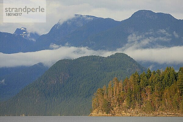 Blick auf die Küstenlinie und den Lebensraum gemäßigter Regenwälder  Desolation Sound Marine Provincial Park  Coast Mountains  British Columbia  Kanada  September  Nordamerika