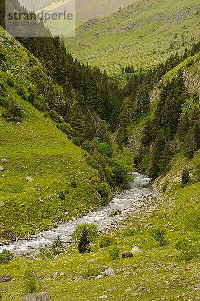 Gebirgsbach  Bergbäche  Gebirgsbäche  Bach  View of mountain valley stream habitat  Ordesa y Monte Perdido N. P. Pyrenees  Aragon  Spain  june