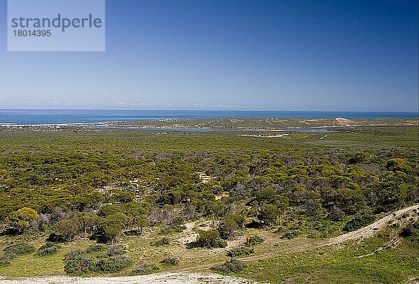 Blick auf den Lebensraum und das Meer der Halbwüste an der Küste  Kalbarri N. P. Westaustralien  Australien  Ozeanien