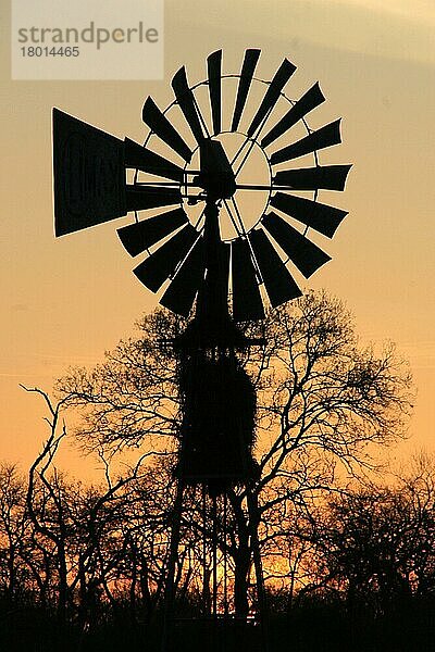 Windturbinen-Wasserpumpe als Silhouette bei Sonnenuntergang  Sabi Sands  Südafrika