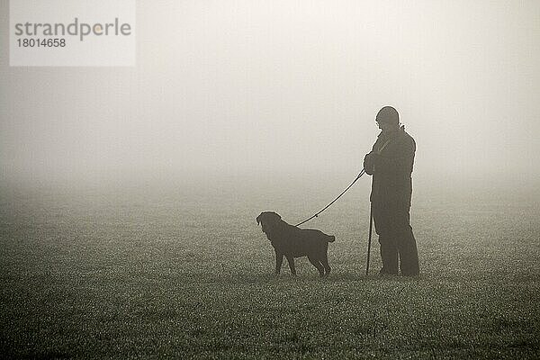 Pflücker steht mit ausgebildetem Hund im Feld und wartet auf den Beginn des Fasanenschießens