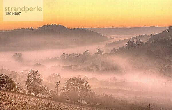 Blick auf Nebel und Frost im Tal bei Sonnenaufgang  Upper Severn (Hafren) -Tal  nahe Llanidloes  Powys  Wales  Oktober