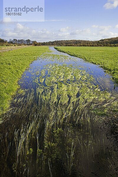 Winterborne' saisonaler Bach  der durch Weideland fließt  in der Nähe von Winterborne Herringston  Dorchester  Dorset  England  Januar