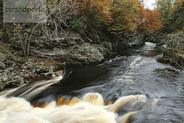 Fluss  der durch bewaldete Schluchten fließt  Rocks of Solitude  Fluss North Esk  bei Edzell  Angus  Schottland  Oktober