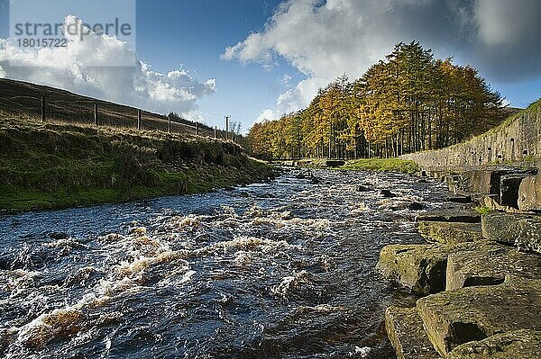 Lebensraum für schnell fließende Flüsse  Langden Brook  Sykes  Dunsop Bridge  Forest of Bowland  Lancashire  England  November