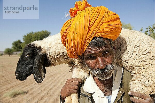 Bishnoi-Hirte  Nahaufnahme des Kopfes  Schafe auf den Schultern tragend  Wüste Thar  Rajasthan  Indien  Asien