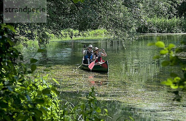 Kanufahrer paddeln auf dem Fluss  River Bure  Coltishall  The Broads  Norfolk  England  Juli