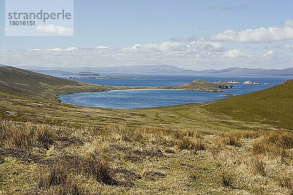 Port pattison bay auf der Kadaverinsel in den Falklandinseln