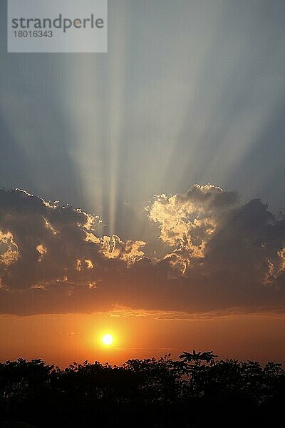 Sonnenuntergang mit Sonnenstrahlen  Ruili  West-Yunnan  China  Marsch  Asien