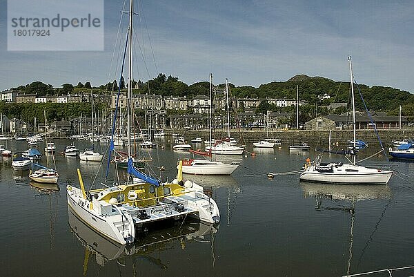 Im Hafen vertäute Boote  Afon-Glaslyn-Mündung  Porthmadog  Gwynedd  Wales  Juni