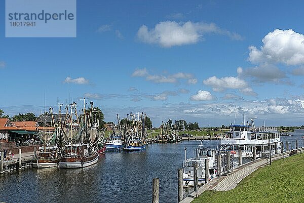 Krabbenkutter im Fischereihafen  Greetsiel  Niedersachsen  Deutschland  Europa