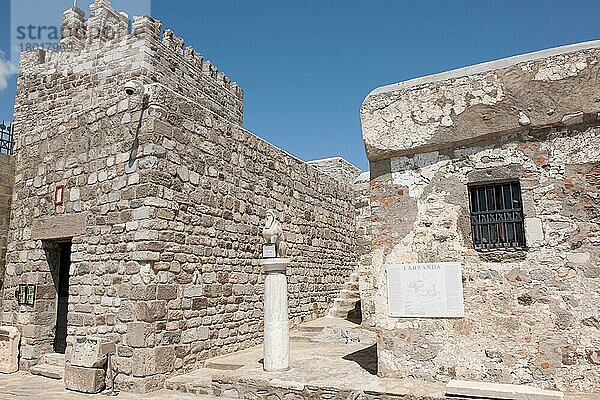 Sphinx mit Bart und Flügeln auf Säule  Museum für Unterwasser-Archäologie  Kastell St. Peter  Burg der Ritter des Hl. Johannes  Festung Bodrum  Mugla  Türkei  Unterwasserarchäologie-Museum  Unterwassermuseum  Asien