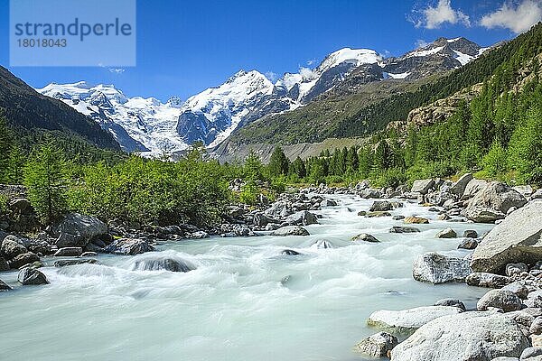 Morteratsch Tal  Piz Palü  3905 m  Piz Bernina  4049 m  Biancograt  Morteratsch Gletscher  Graubünden  Schweiz  Europa