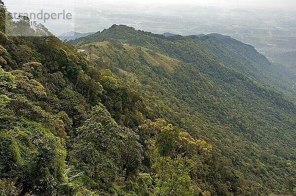 Blick auf den Lebensraum Tropenwald  Tam Dao N. P. Vietnam  April