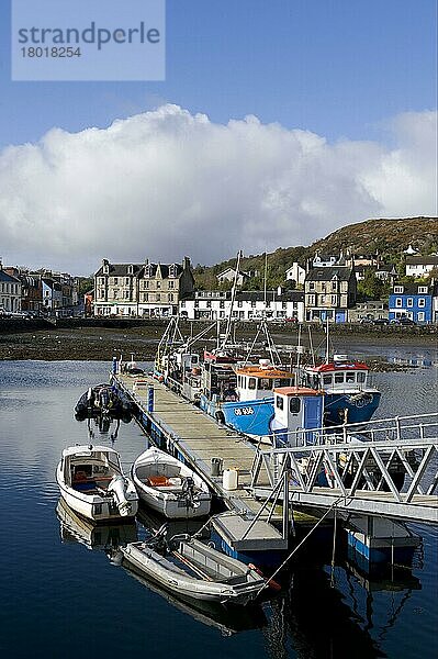 Blick auf die Boote  die an der Mole im See-See festgemacht sind  Tarbert  Loch Fyne  Argyll and Bute  Schottland  Großbritannien  Europa