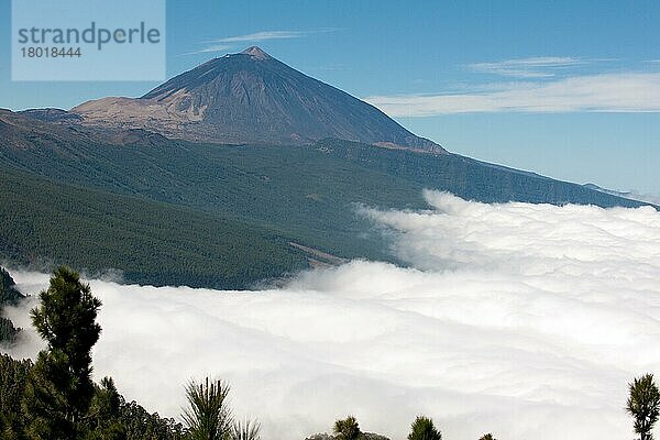 Teide und Meer der Wolken  Mar de Nubes  Teneriffa  Kanarische Inseln  Spanien  Europa