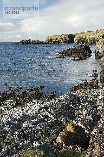 Blick auf felsigen Strand und Klippen  Funzie Bay  Fetlar  Shetland-Inseln  Schottland  Juni