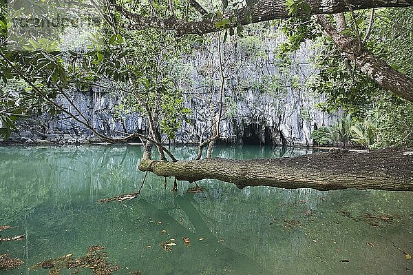 Höhleneingang zum unterirdischen Fluss  Puerto Princesa Subterranean River N. P. Saint Paul Mountain Range  Palawan Island  Philippinen  Asien