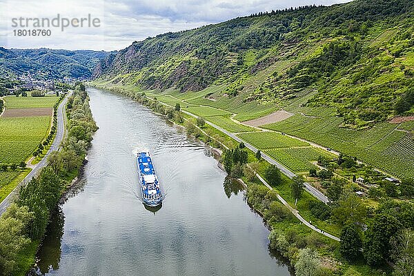 Flusskreuzfahrtschiff auf der Mosel bei Cochem  Moseltal  Deutschland  Europa